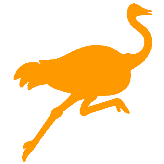 Nostr icon